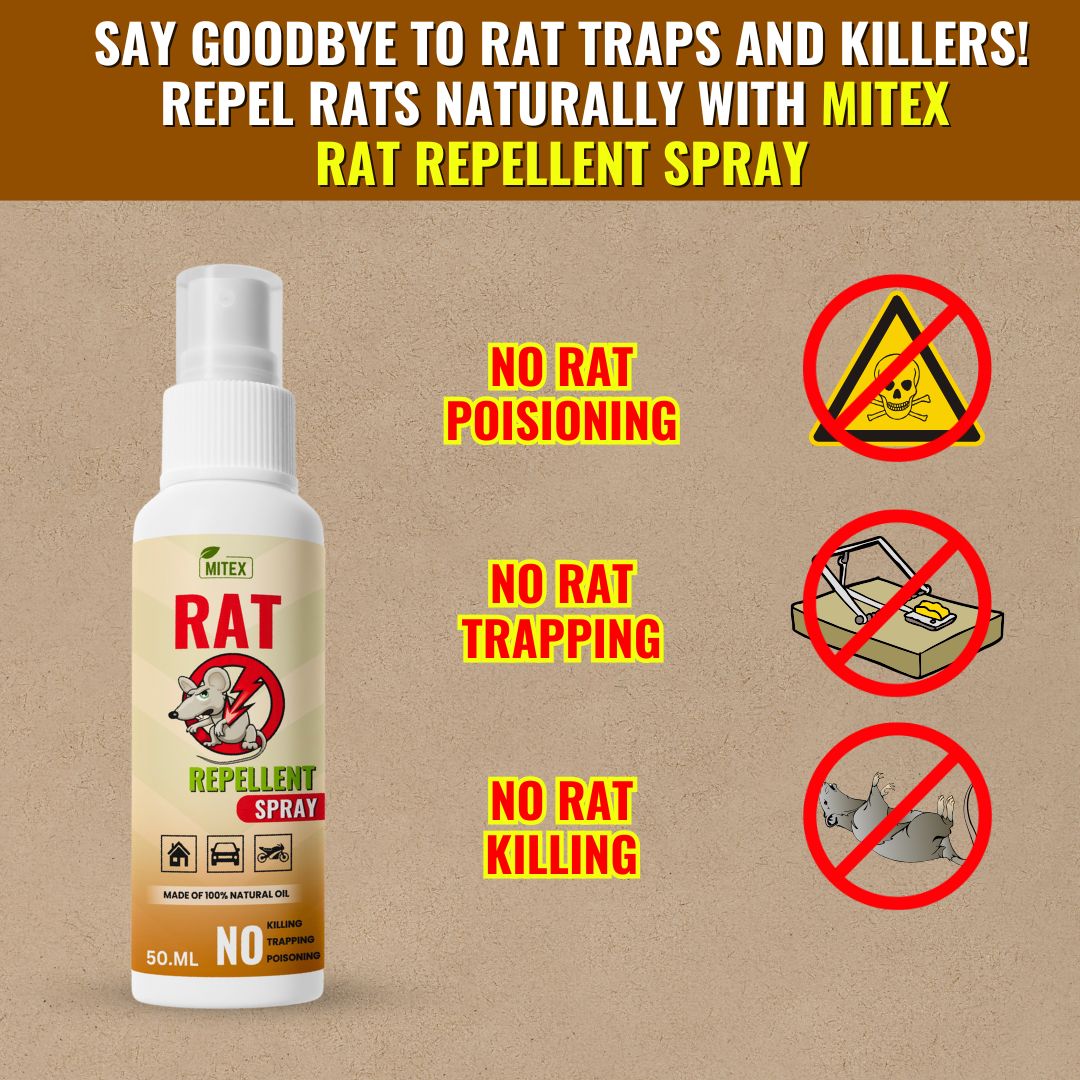 Rat Repellent Spray  Safe , Effective , and Eco friendly