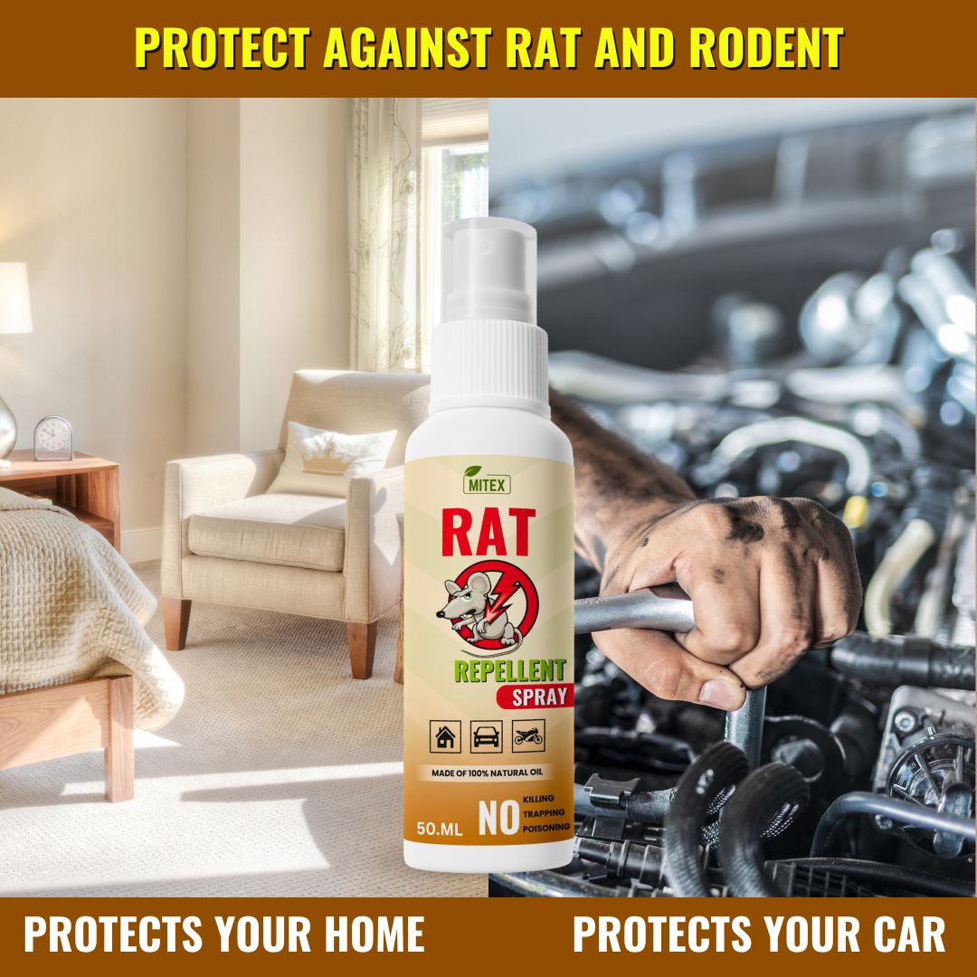 Rat Repellent Spray  Safe , Effective , and Eco friendly