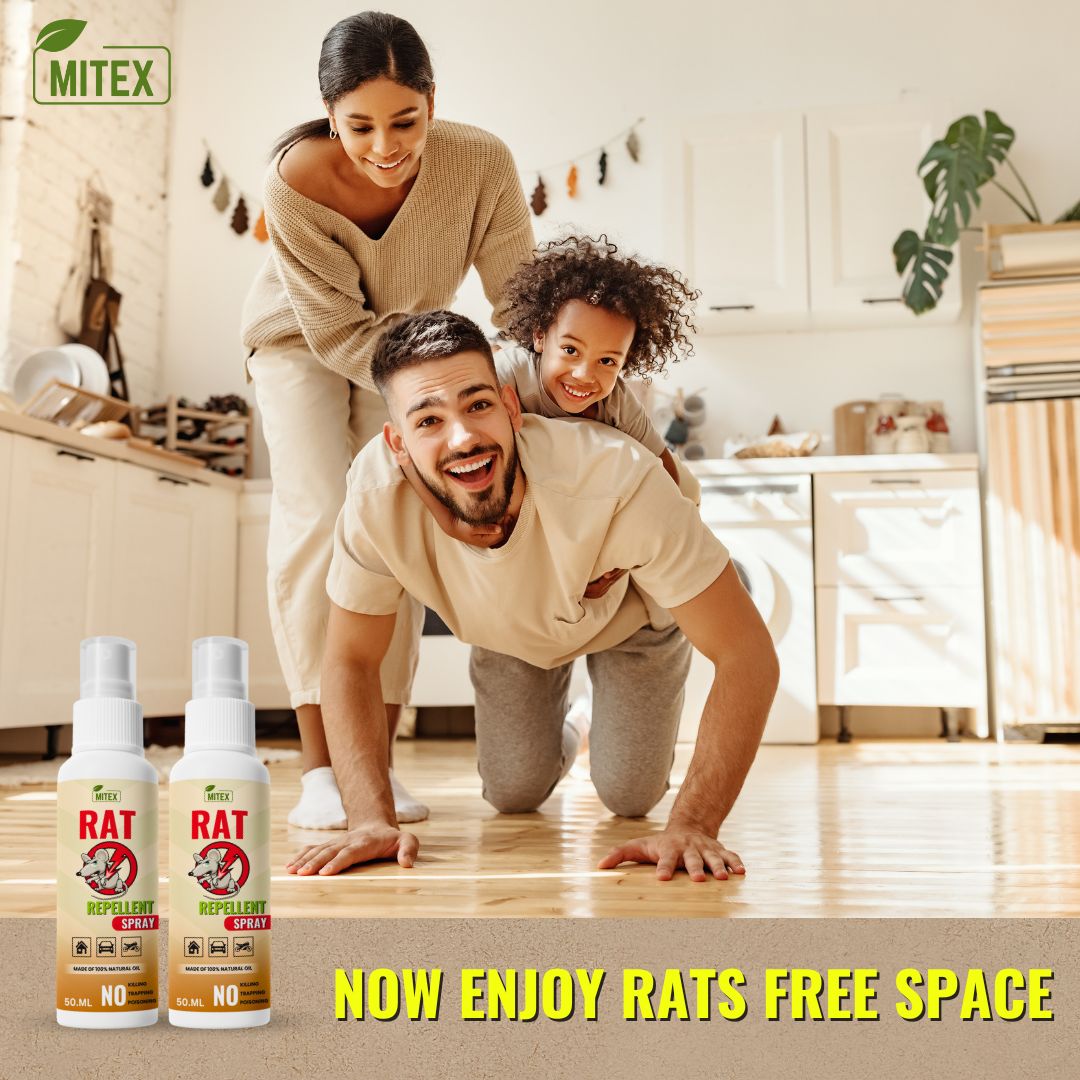 Rat Repellent Spray  Safe , Effective , and Eco friendly